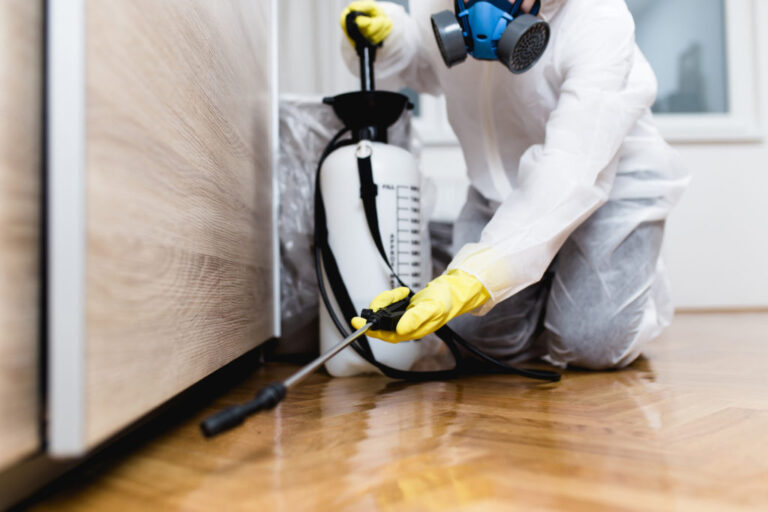 Improve Pest Control